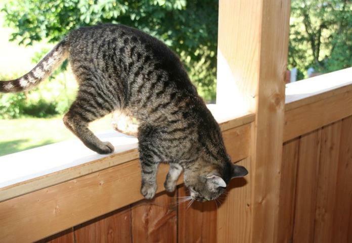 Schoenhaar Schwenden 2 Argenbuhl エクステリア 写真